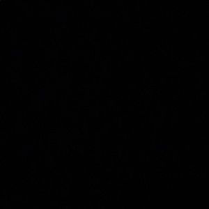 Meet your Posher, Treeseeker555